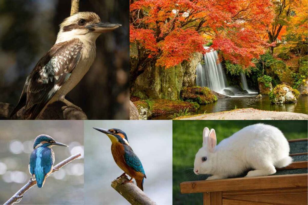 पृथ्वी का इतिहास - पृथ्वी का निर्माण, प्रकृति,