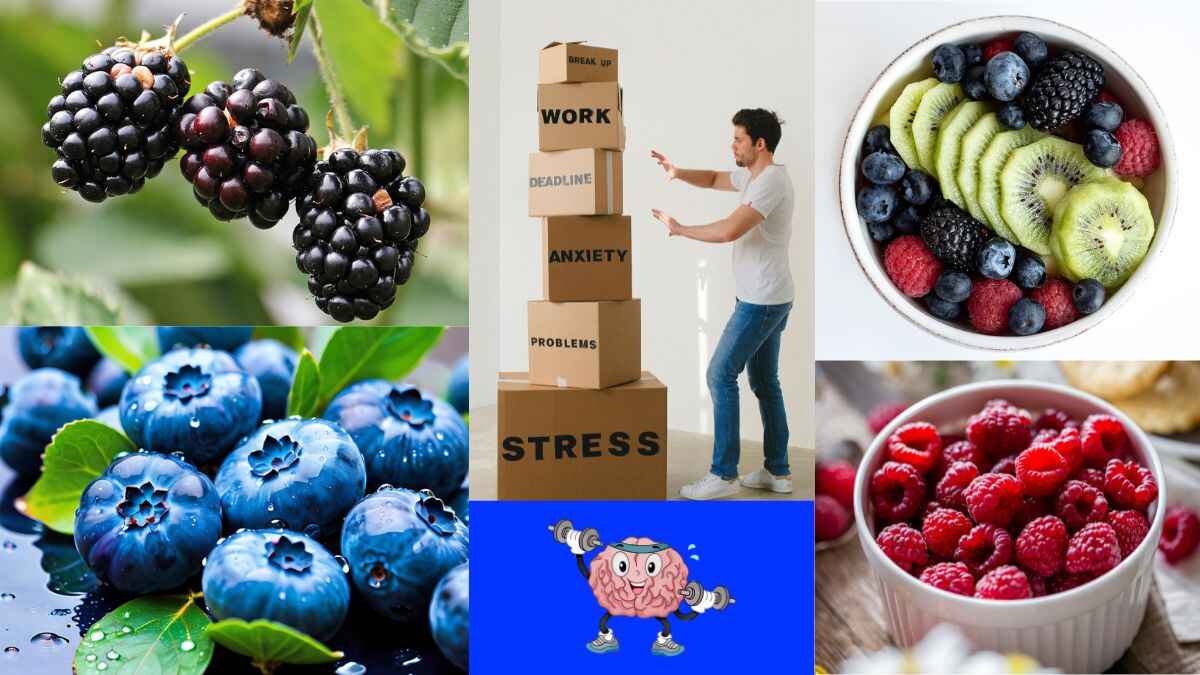 खट्टे फल दिमाग तेज़ करने के लिए बहुत फ़ायदेमंद होते हैं, जामुन, ब्लैकबेरी, ब्लूबेरी, स्ट्रॉबेरी